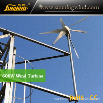 Селитебный генератор ветра 600W небольшой ветровой турбины для домашнего использования